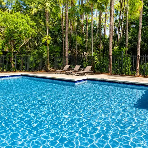 Coach Houses of Town Place Boca Raton resort-style pool with lounge chairs, trees, and South Florida community amenities.