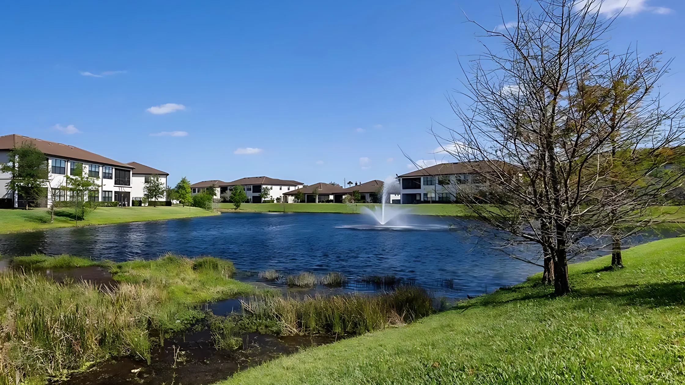 Boca Flores Amenities