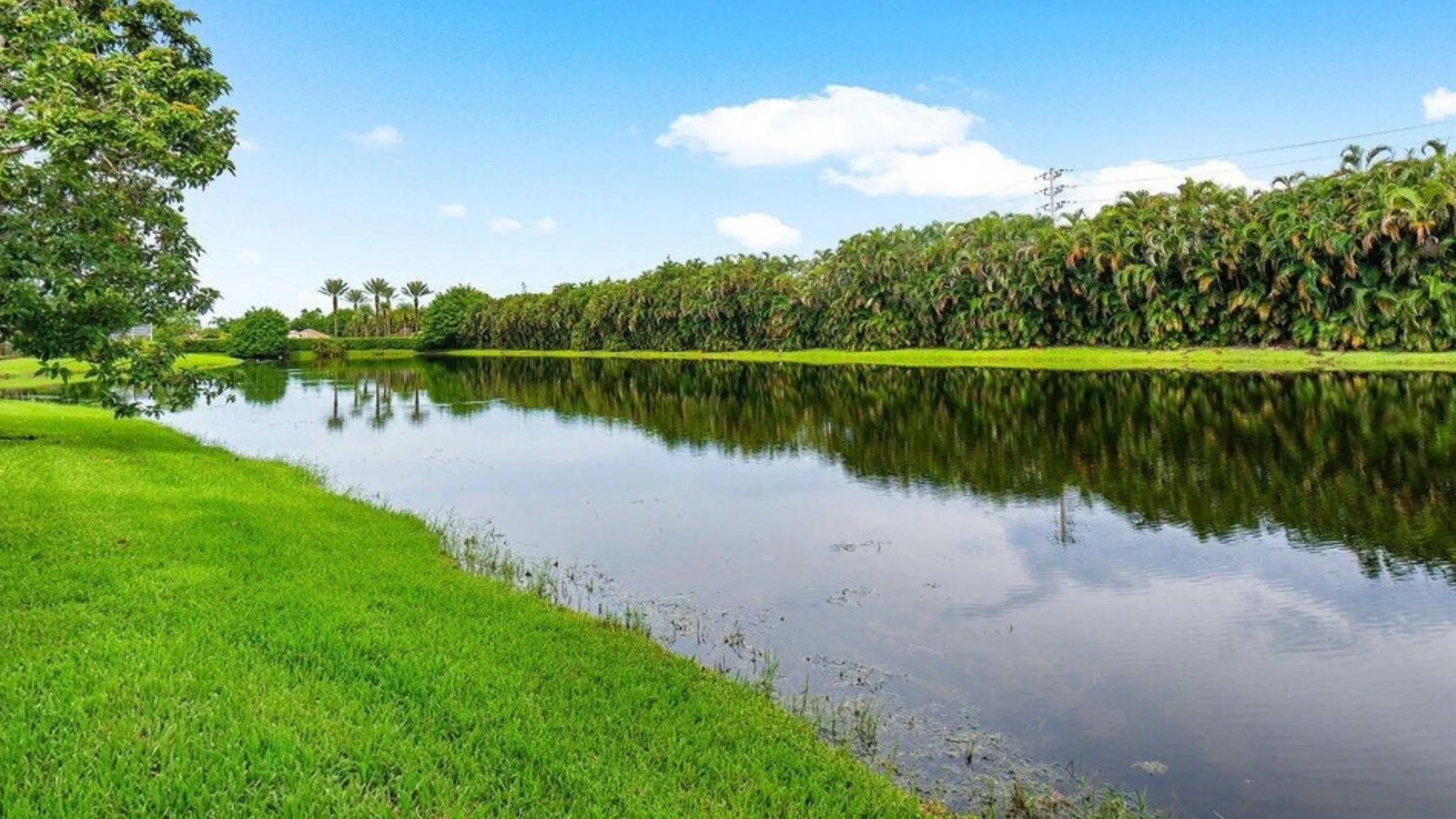 Long Lake Palms Amenities