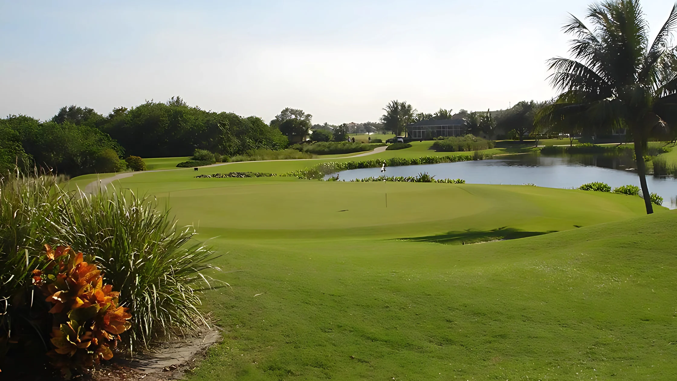 Polo Trace Amenities